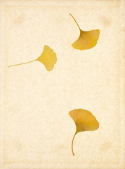 herbst blätter Papier hintergrund