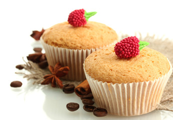 tasty muffin cakes