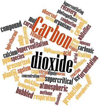 Word cloud for Carbon dioxide