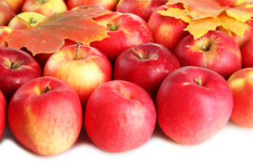 juicy red apples with leaves, isolated on white