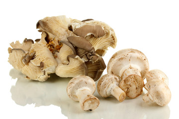 Fresh mushrooms isolated on white