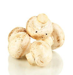 Fresh mushrooms isolated on white