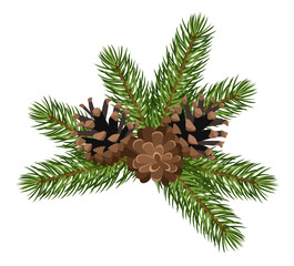 Obraz premium Fir tree branches and cones. Vector illustration.