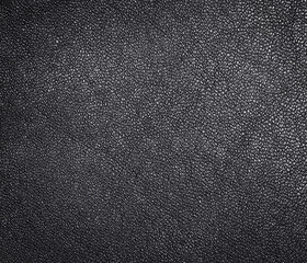 Leather texture