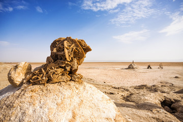 Fototapeta na wymiar Desert Rose w Wielki Szott - Salt Lake w Tunezji