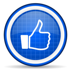 thumb up blue glossy icon on white background