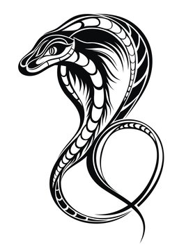 Snake 2013. Tattoo design