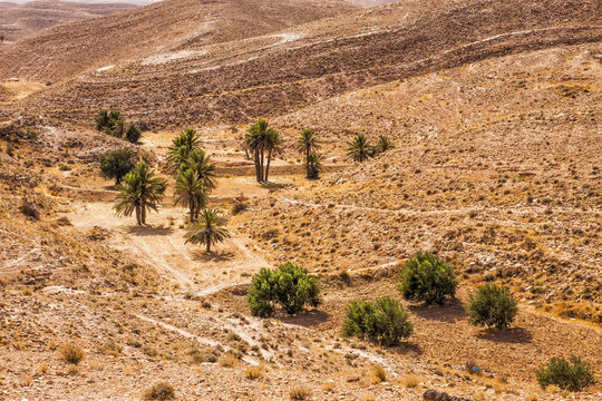 Stone desert in Matmata (Gravity irrigation by terraces), Tunisi
