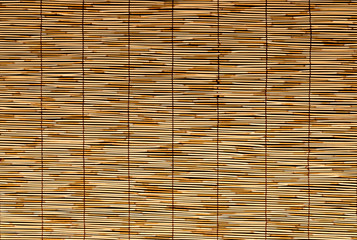 Bamboo Background