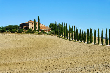 Podere im Herbst - Podere in fall 03