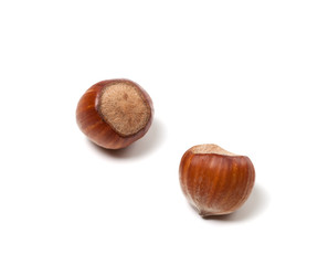 Two brown hazelnuts
