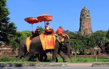 Ayutthaya destroyed temple and elephant with tourists - obrazy, fototapety, plakaty