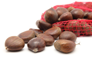 Chestnut on white background
