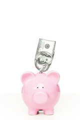 Piggy bank with dollar bill