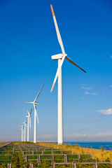 Fototapeta premium Wind farm
