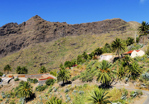 Masca(Teno Mountains), Tenerife, Canary Islands, Spain