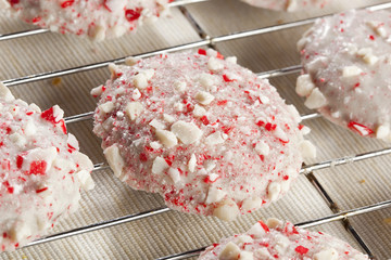 Homemade Peppermint Christmas Cookie