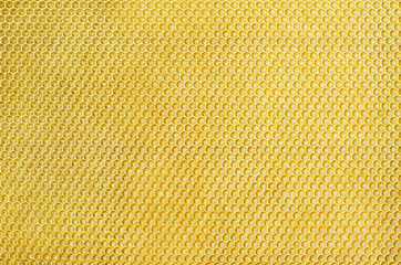 Closeup yellow honeycomb background