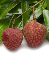 Isolated tropical lychee