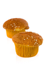 Cup cake on a white background