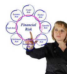 Diagram of financial risks