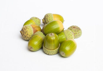 Haycorns