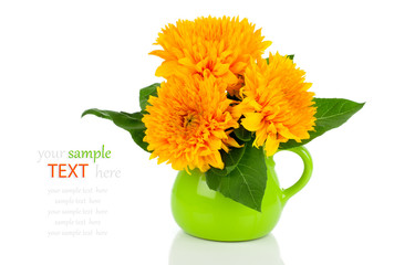 Beautiful sunflower bouquet in green jug, on white background