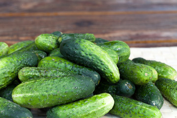 fresh green cucumber