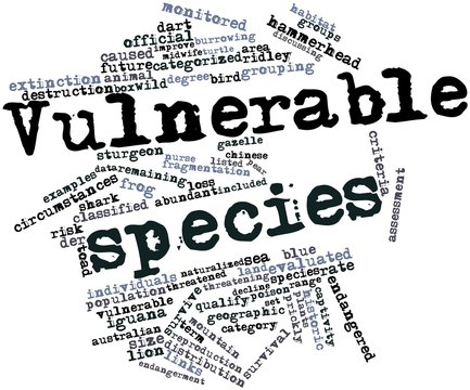 Word cloud for Vulnerable species