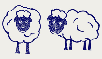 Cartoon sheep. Doodle style