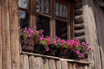 Fototapeta na wymiar balcone fiorito