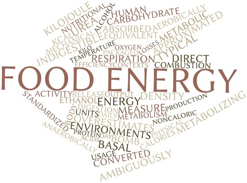 Word cloud for Food energy