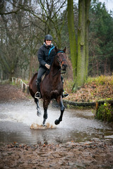 Equestrian Rider and Horse