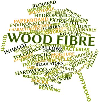 Word cloud for Wood fibre