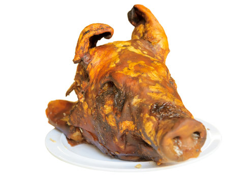 Pig's head