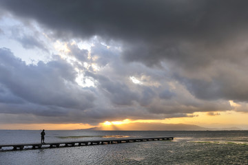 Pasarela hacia el mar - Delta del Ebro - España