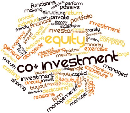 Word cloud for Equity co-investment