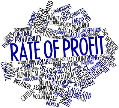 Word cloud for Rate of profit