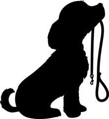 Dog and Leash