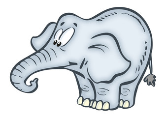 funny elephant