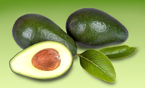 Avocados with leaves