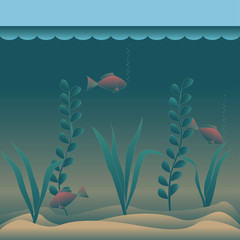 Image with undersea. vector illustration.