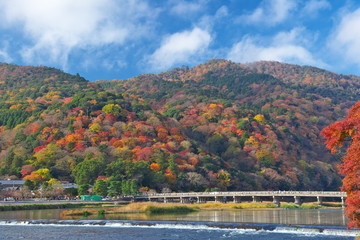 Fototapeta na wymiar Arashiyama Jesieni