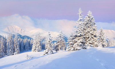 Fototapeta na wymiar Piękny wschód słońca zimą w górach