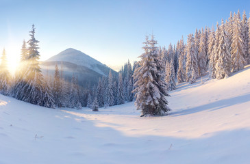 Beautiful winter landscape in the mountains. Sunrise