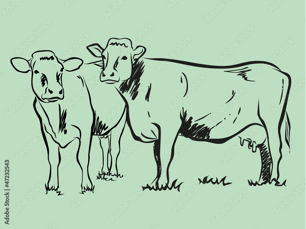 Wall mural Cow sketch