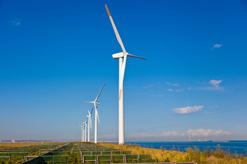 Fototapeta premium Wind farm