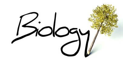 Biology concept, ecology wooden pencil tree