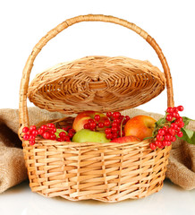 Fototapeta na wymiar upraw owoców jagodowych i owoców w koszyku