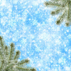 Snowy winter abstract background with fluffy fir branches